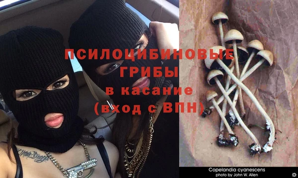 первитин Белоозёрский