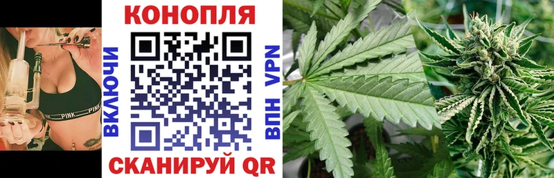 кракен как зайти  цены наркотик  Луховицы  Шишки марихуана ГИДРОПОН 